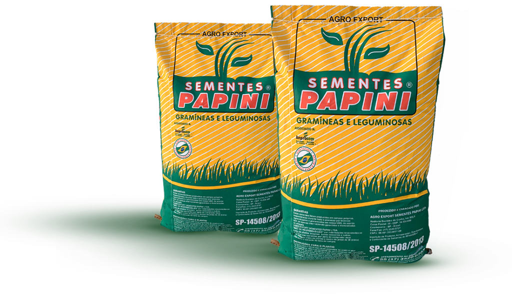 Sementes Papini lança nova linha de gramíneas para pastagem
