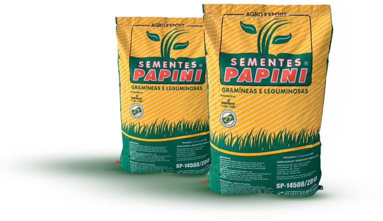 Sementes Papini lança nova linha de gramíneas para pastagem